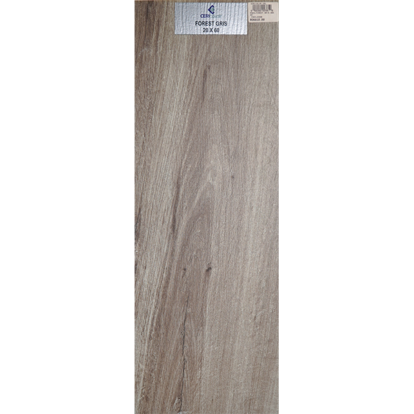 FOREST-GRIS-20X60-POES0268