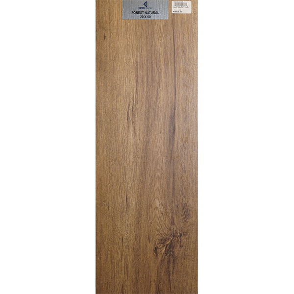 FOREST-NATURAL-20X60-POES0259