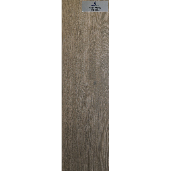 GIPSY-ANDRE-22.2X66.4-POES0134