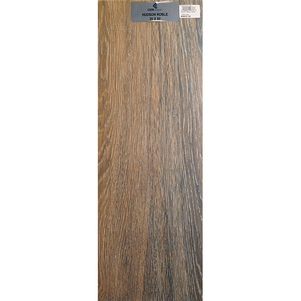 HUDSON-ROBLE-20X60-POES0263