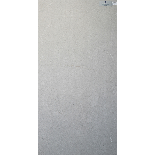 KONE-SILVER-ANTI-60-X-120-POES0290